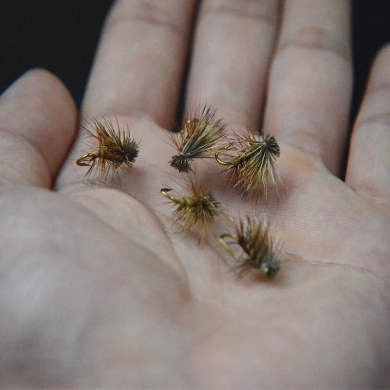 6pcs 14# Brown/Tan Elk Hair Caddis fly fishing dry flies 2styles adult caddisflies/stoneflies lures striking steelhead grayling